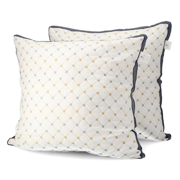 Set of 2 cotton pillows